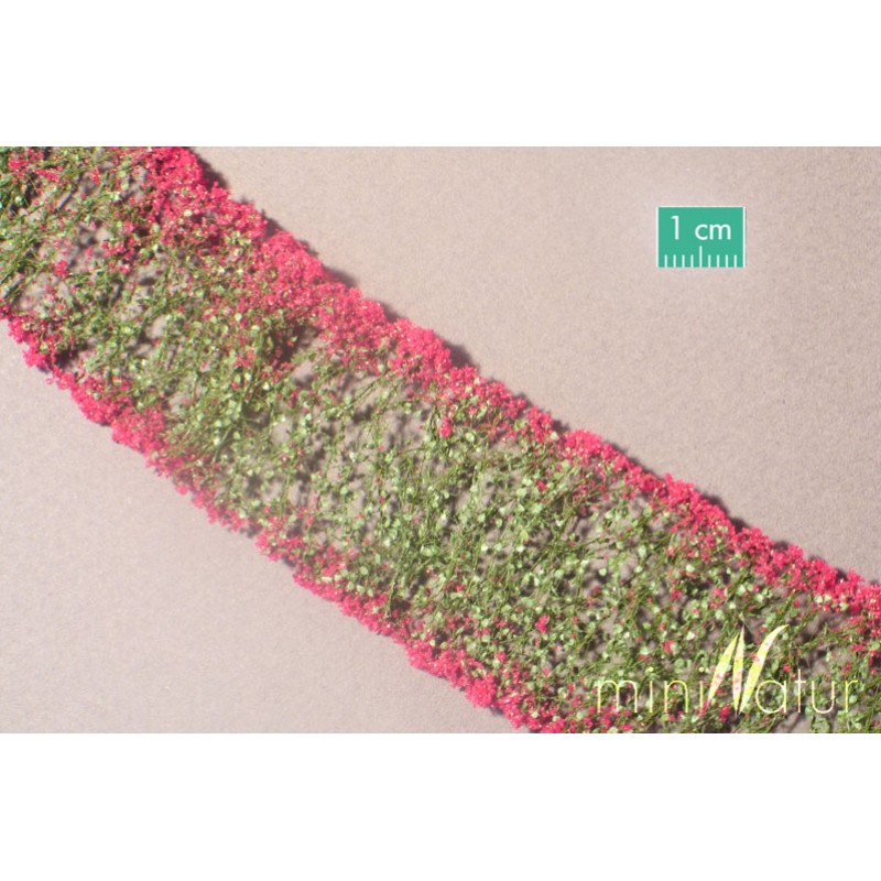 Magenta Flowers