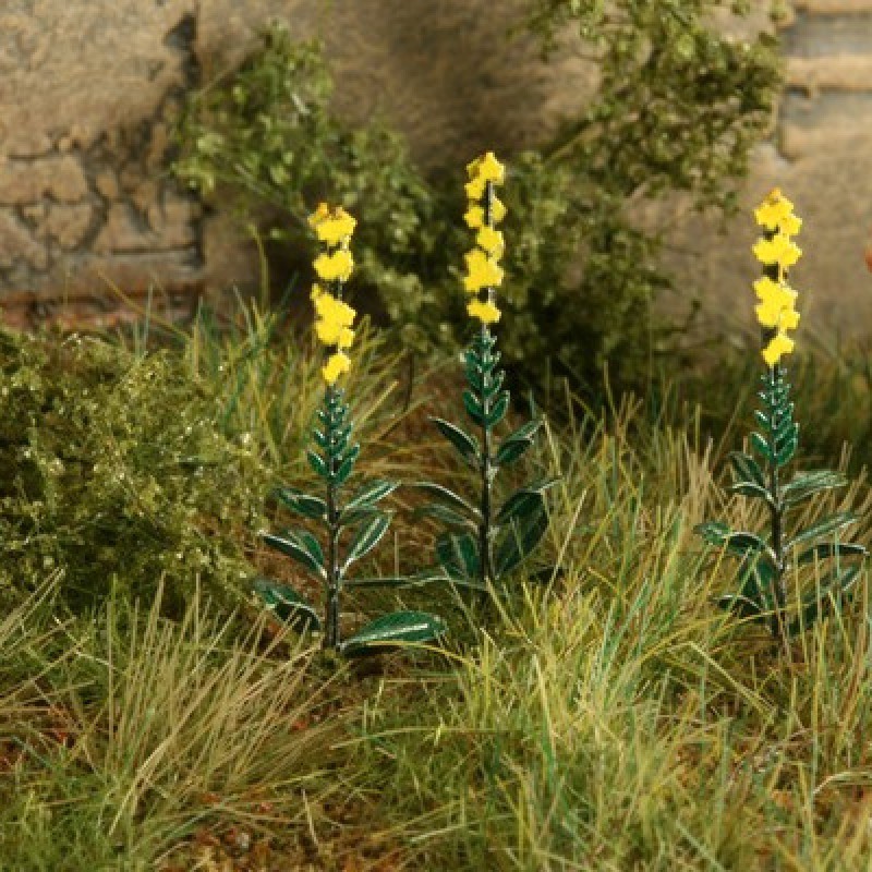 Mullein