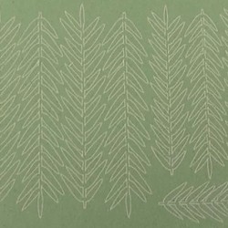 Ladder Fern