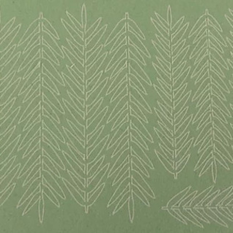 Ladder Fern Ladder Fern