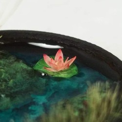 Water Lillies