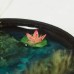 Water Lillies Water Lillies